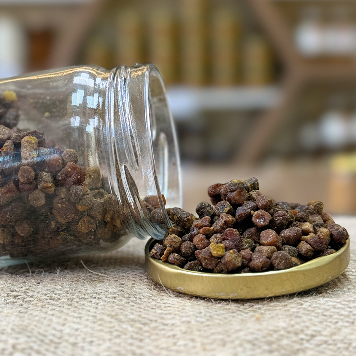 Mucize Besin Arı Ekmeği (Perga) Nedir? 